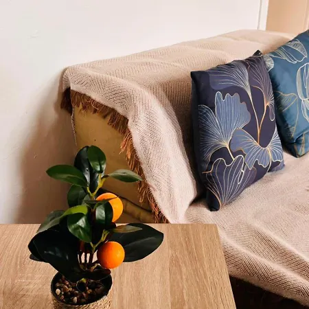 Cote Jardin - 3 People - Netflix Appartement